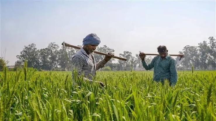किसानों के लिए बड़ी खबर,सरकार भरेगी कृषि लोन का ब्याज!