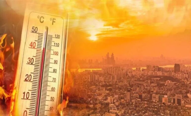 दुनियाभर में अगस्त में रहा सबसे ज्यादा गर्मी,खतरे के स्तर से पार पहुंचा धरती का तापमान